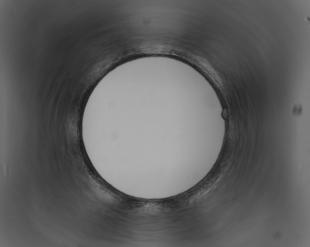 X0000089390441200707131722