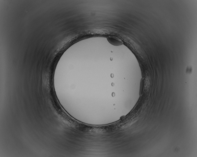 X0000089390444200707131722