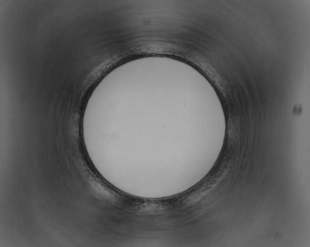 X0000089390445200707131722