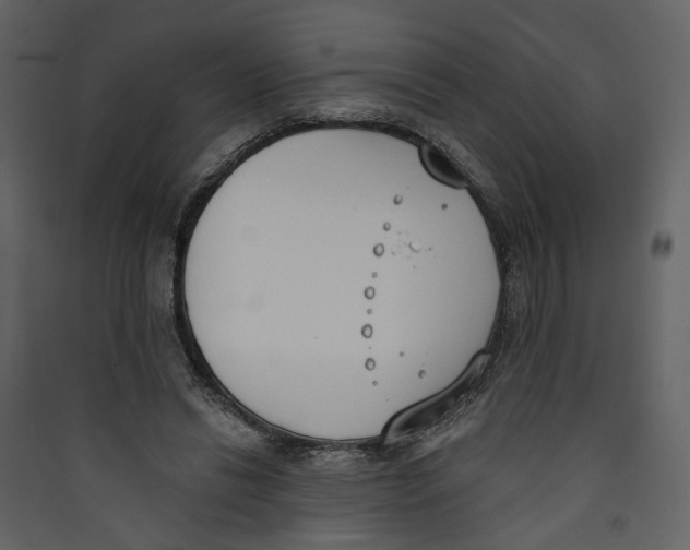 X0000089390446200707131722