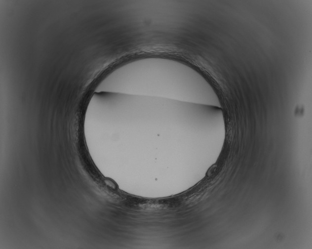 X0000089390448200707131722