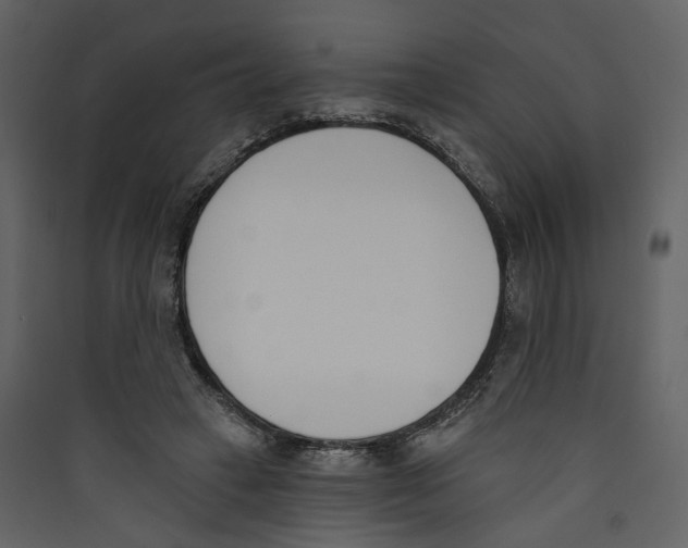 X0000089390449200707131722