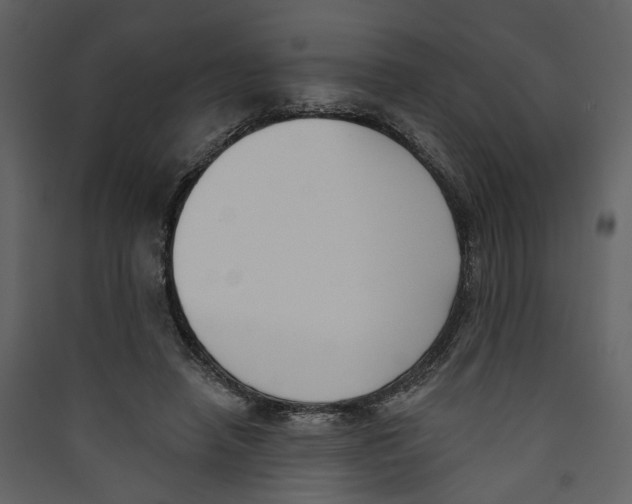 X0000089390450200707131722