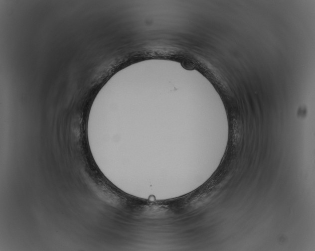 X0000089390451200707131722