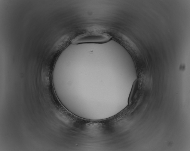 X0000089390452200707131722