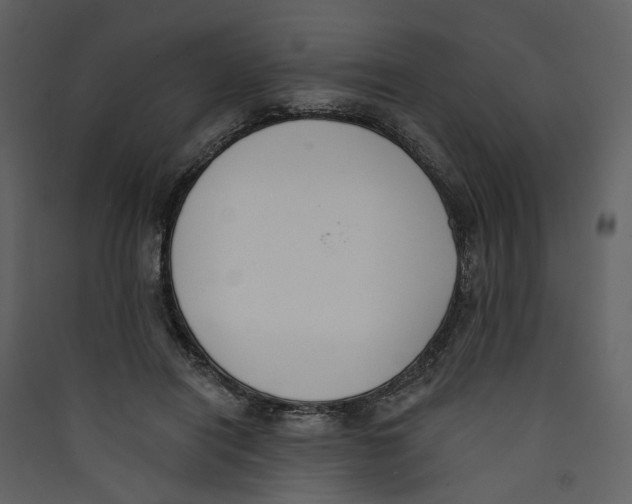 X0000089390454200707131722