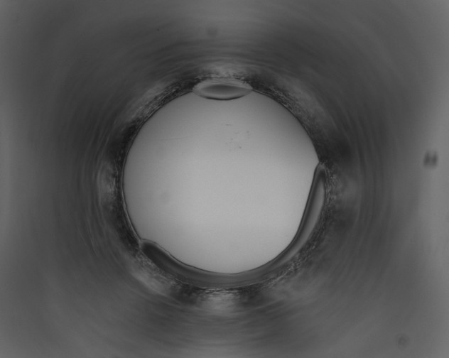 X0000089390456200707131722