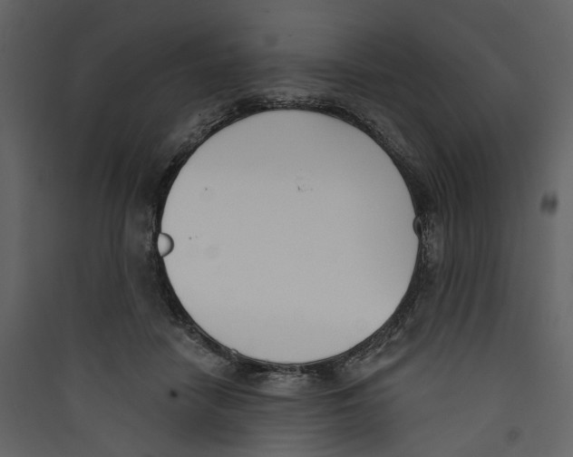 X0000089390458200707131722