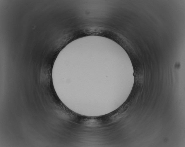 X0000089390460200707131722