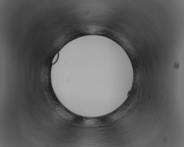 X0000089390461200707131722