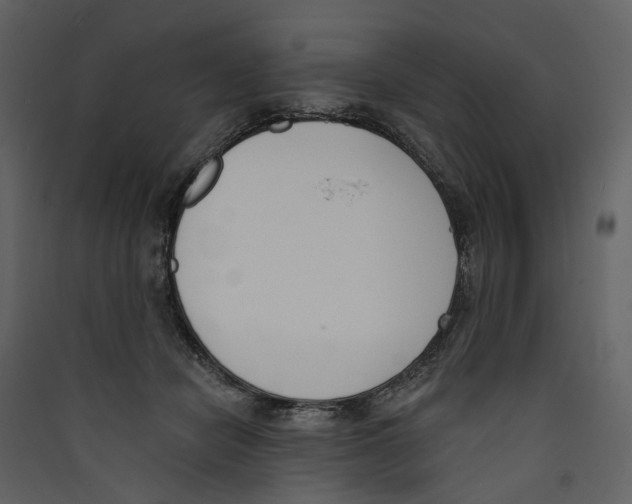 X0000089390462200707131723