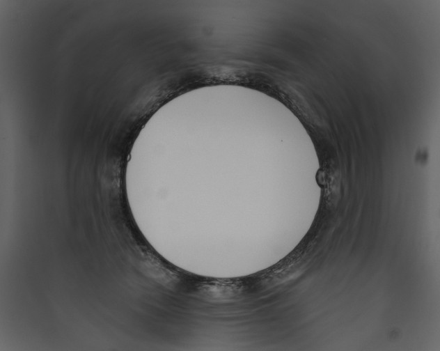 X0000089390466200707131723