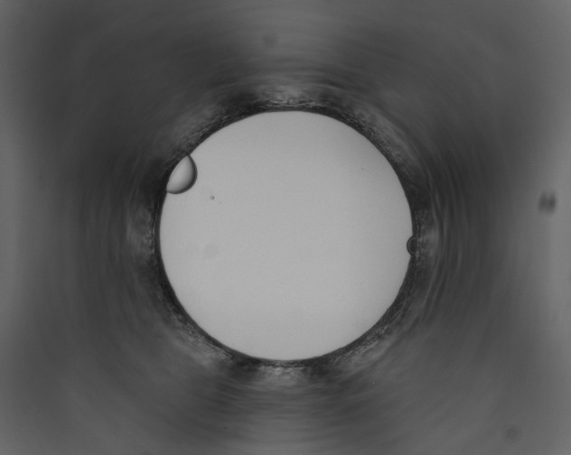 X0000089390469200707131723