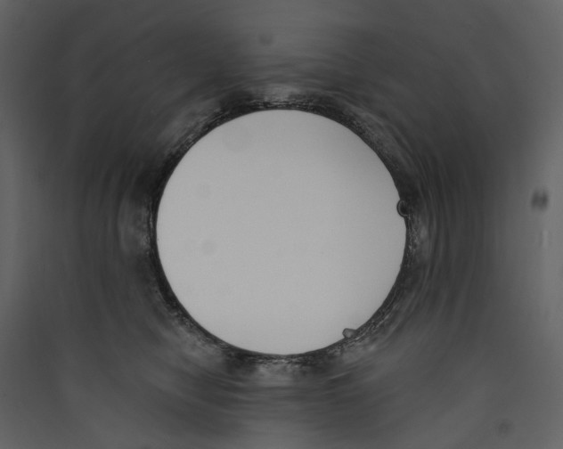 X0000089390470200707131723