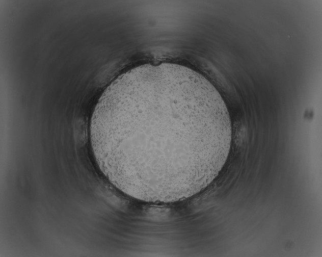 X0000089390471200707131723