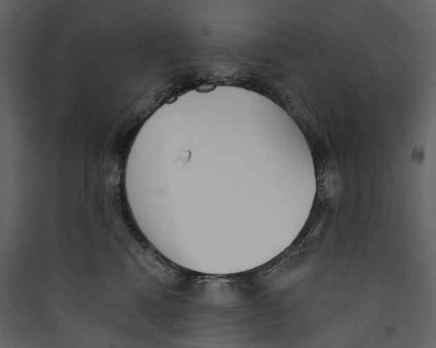 X0000089390472200707131723
