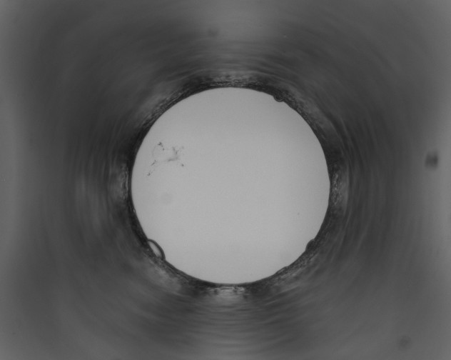 X0000089390474200707131723