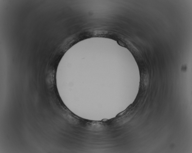 X0000089390475200707131723