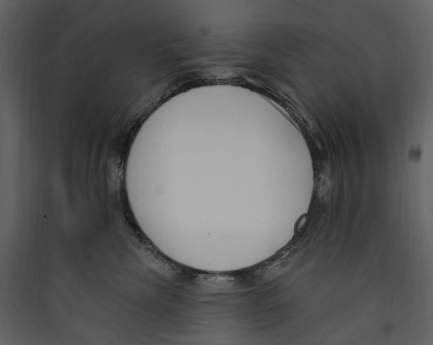 X0000089390476200707131723
