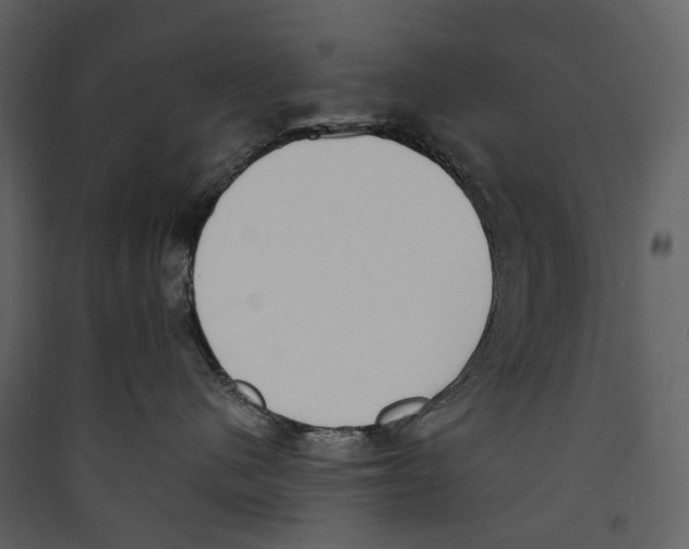 X0000089390480200707131723