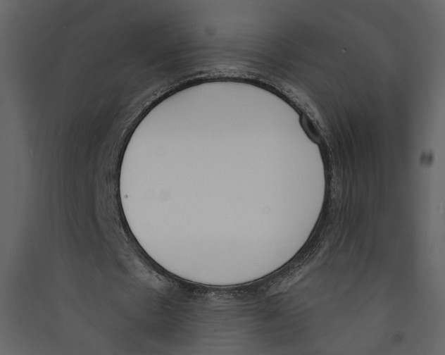 X0000089390481200707131722