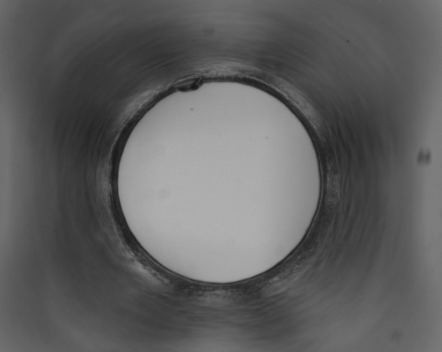X0000089390485200707131722