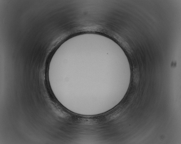 X0000089390486200707131722