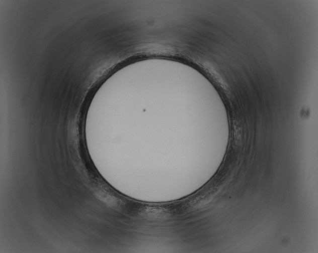 X0000089390487200707131722