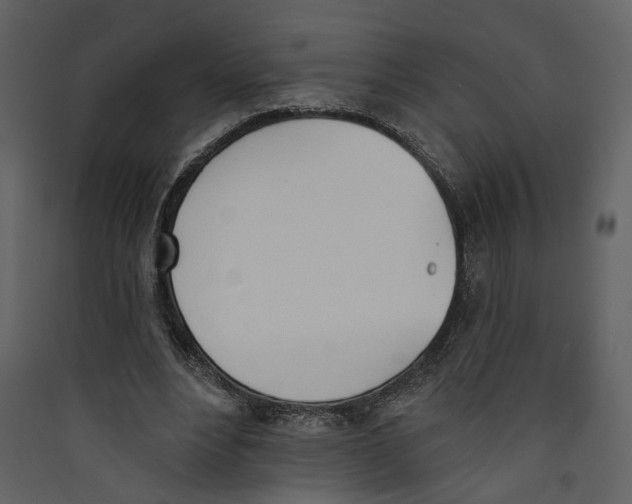 X0000089390488200707131722
