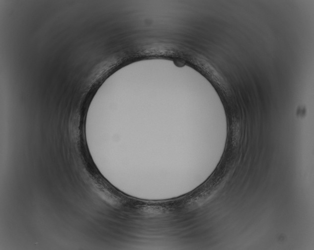 X0000089390490200707131722