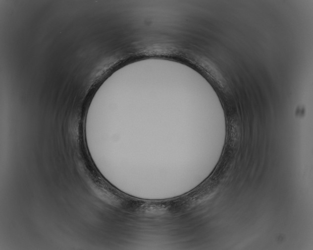 X0000089390491200707131722