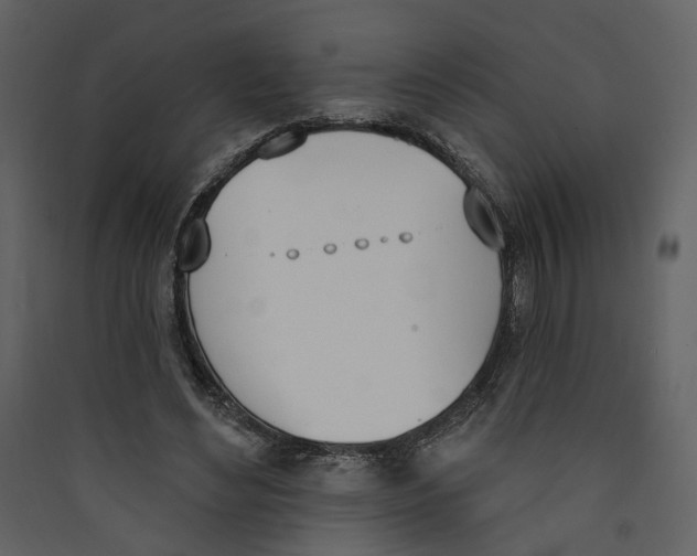 X0000089390492200707131722