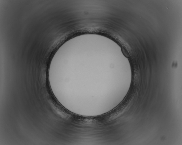 X0000089390493200707131722
