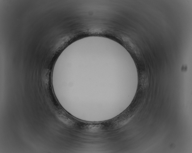 X0000089390495200707131722