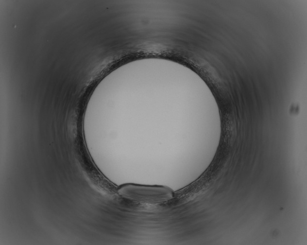 X0000089390496200707131722