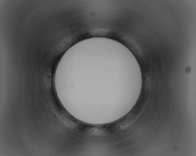 X0000089390498200707131722