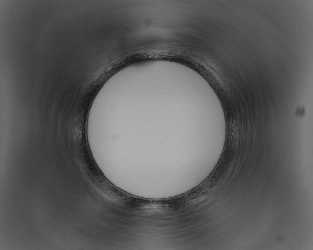 X0000089390499200707131722