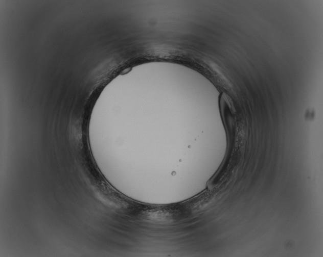 X0000089390500200707131722