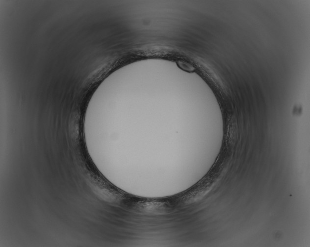 X0000089390501200707131722