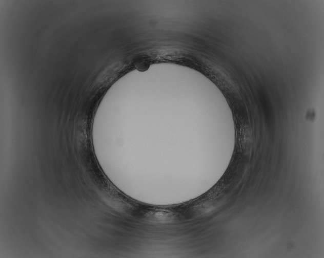 X0000089390506200707131722