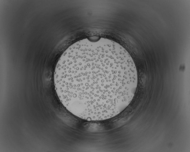 X0000089390507200707131722
