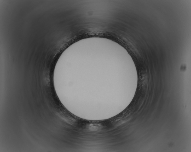 X0000089390508200707131722