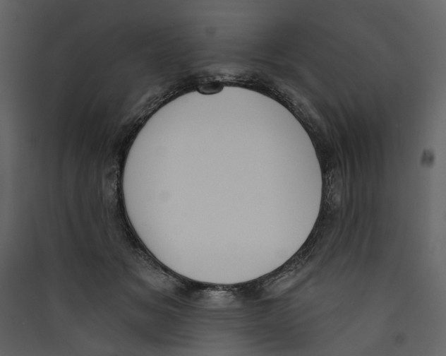 X0000089390509200707131722