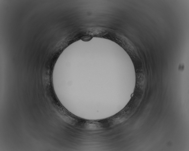 X0000089390510200707131722