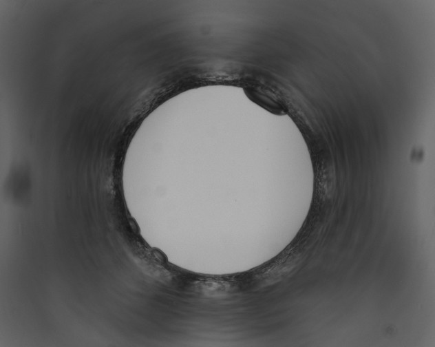 X0000089390512200707131722