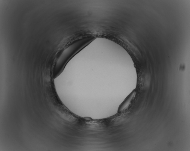 X0000089390516200707131722