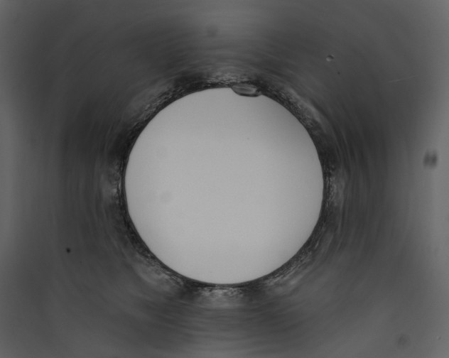 X0000089390517200707131722