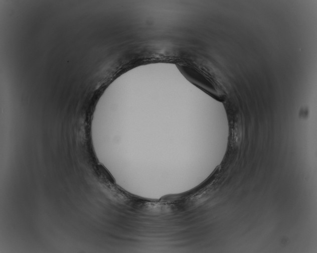 X0000089390520200707131722
