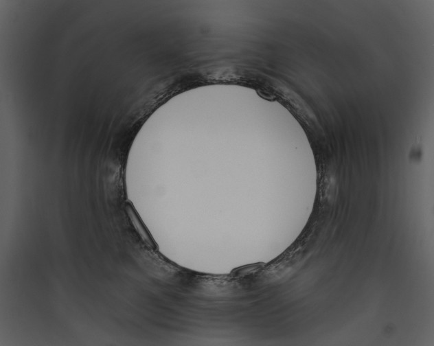 X0000089390521200707131722