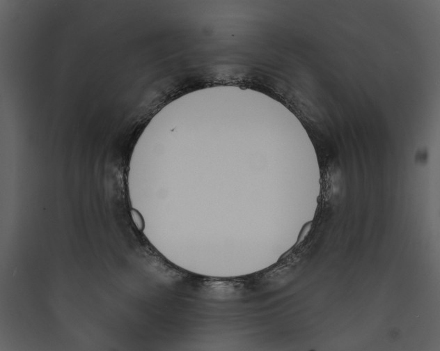 X0000089390522200707131722